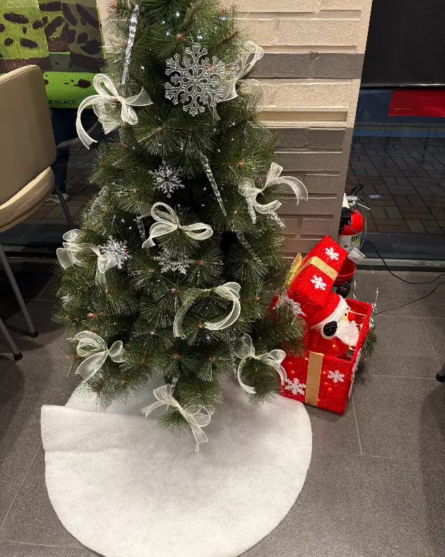 선물 상자 옆 트리