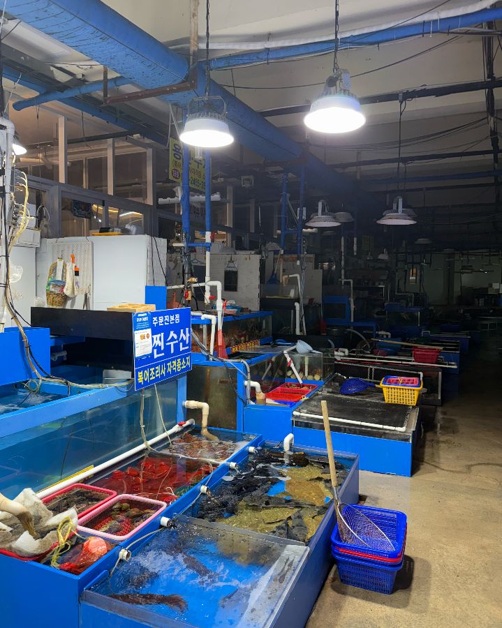 넓고 깨끗한 매장 내부