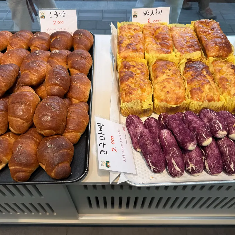 다양한 빵 종류