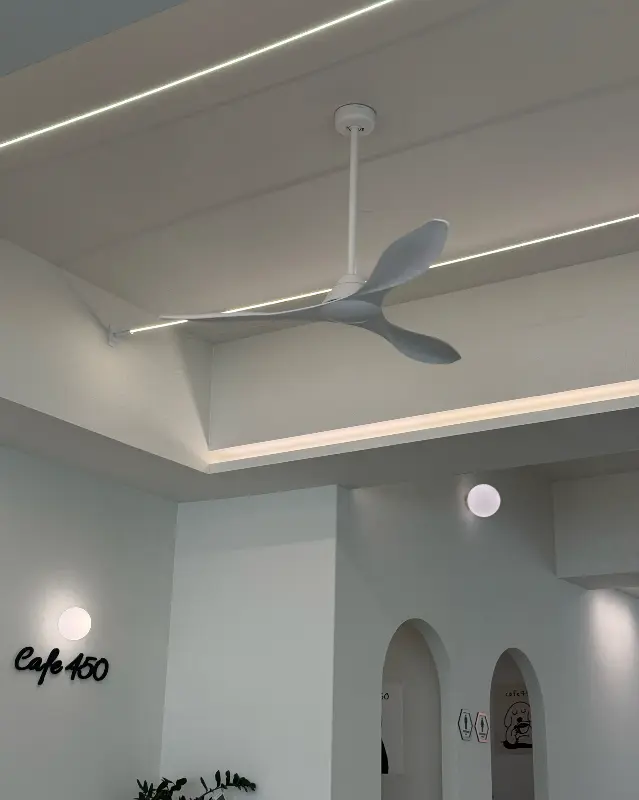 카페 내부 천장