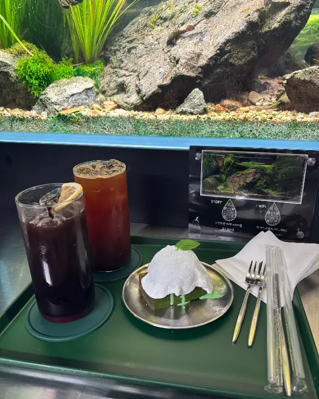 음료와 디저트, 그리고 어항