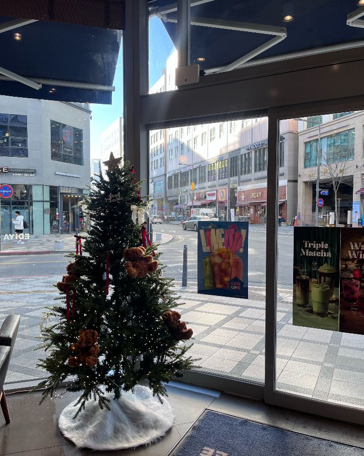 따뜻한 햇살이 들어오는 이디야 내부, 크리스마스 트리가 놓여 있다.