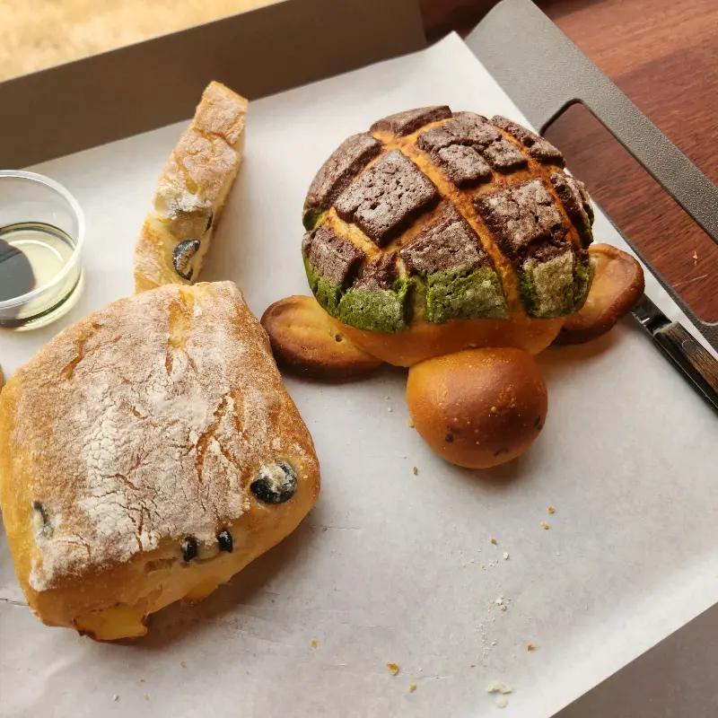 거북이빵과 치아바타