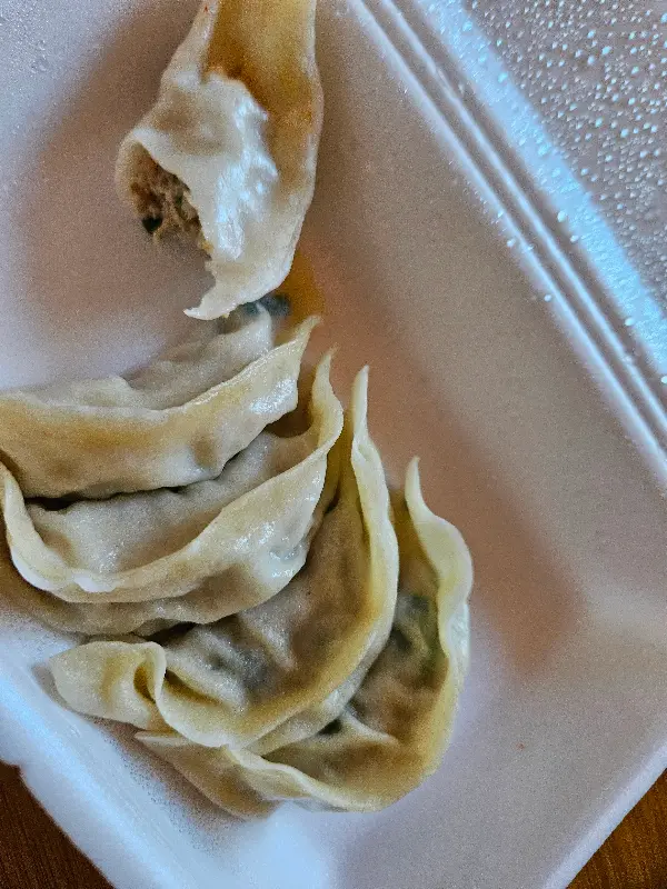 윤기가 흐르는 고기만두