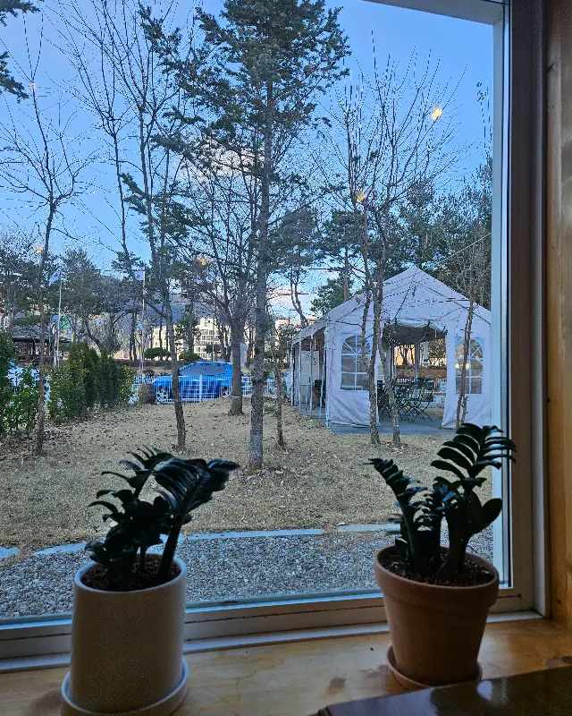 카페 외부 풍경