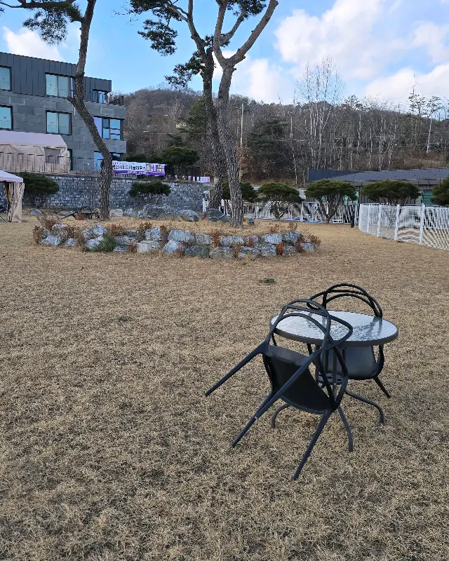 투썸플레이스 케이크