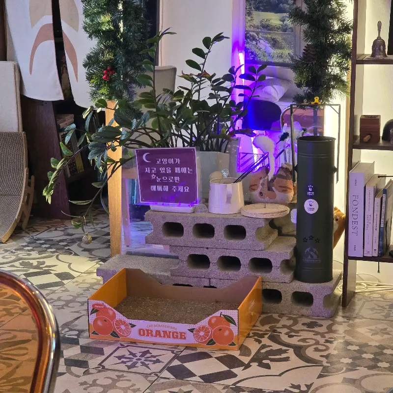 카페 내부 인테리어 소품