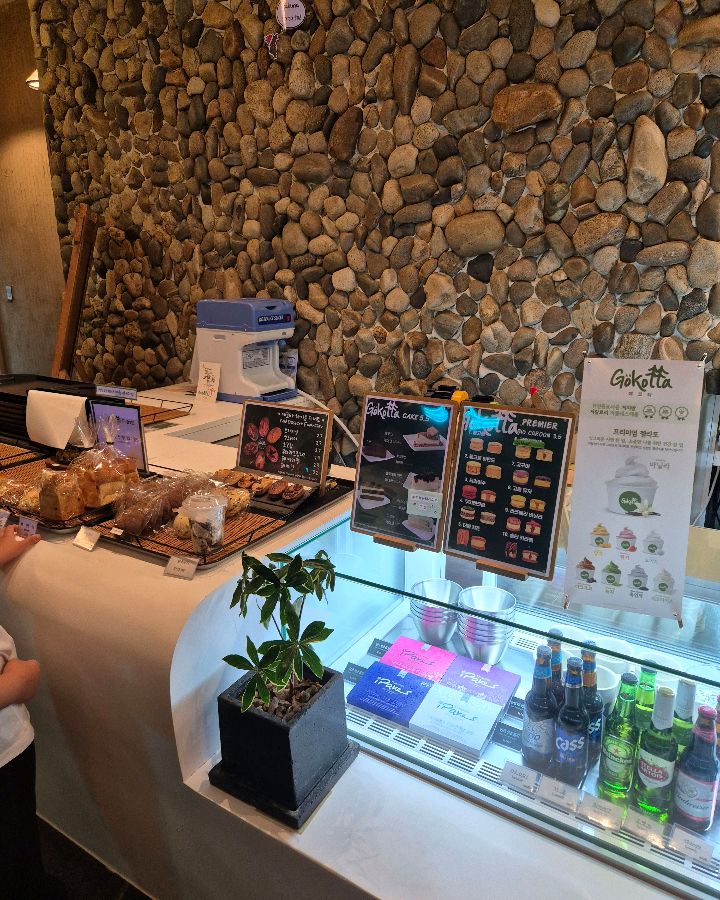 예코타의 쇼케이스