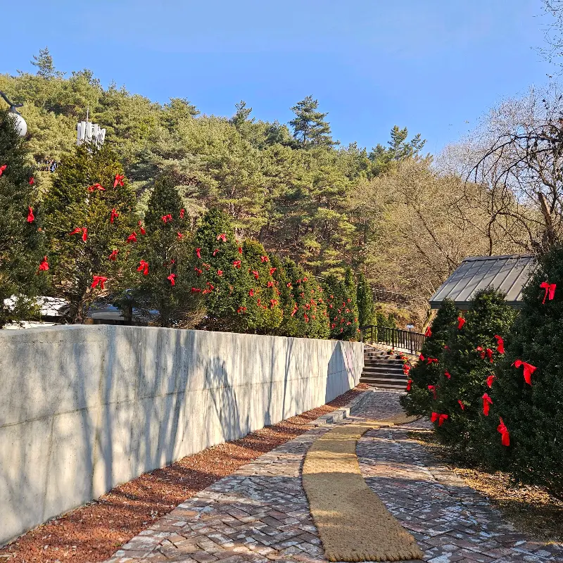 카페 주변 풍경