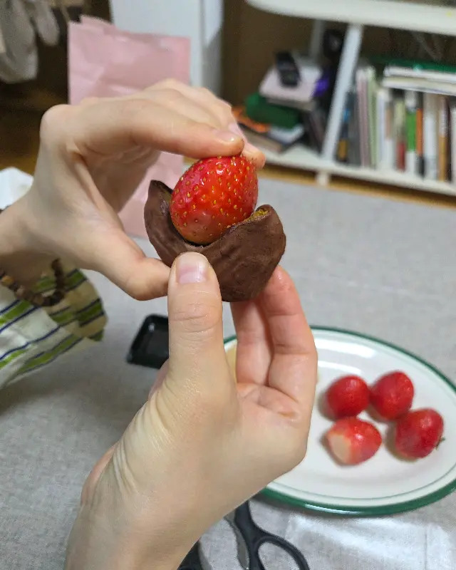 수제 딸기 초콜릿