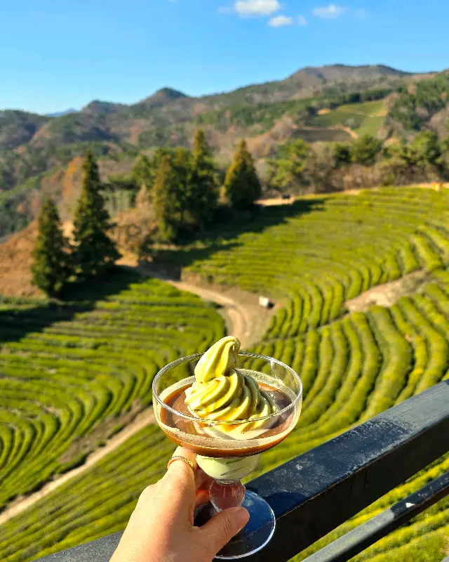 녹차 아이스크림