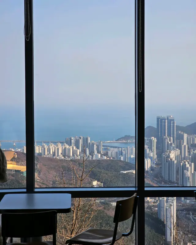 통유리창 너머로 보이는 부산 시내