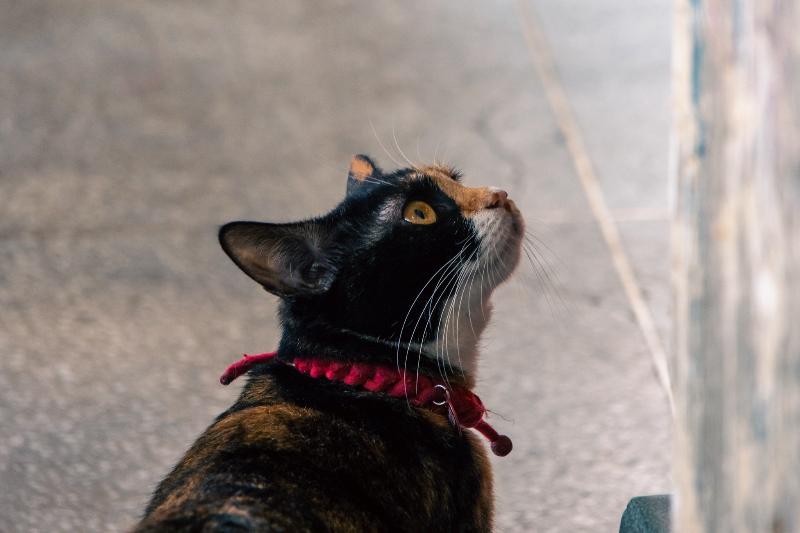 맥도날드 영일대점