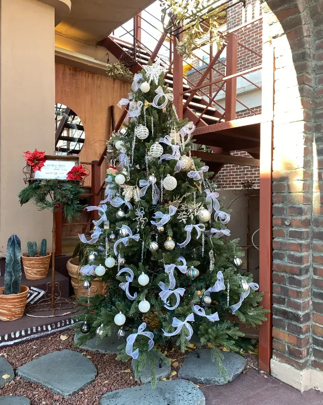 몽하스의 크리스마스 트리