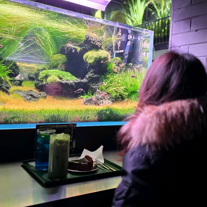 다양한 물고기들