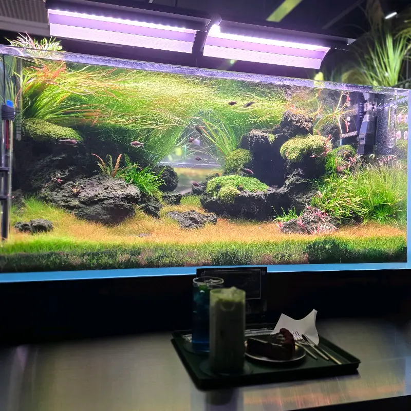 카페 내부 모습