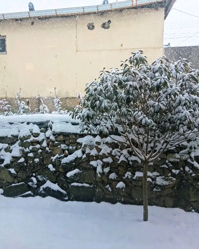 눈 내리는 여유당 풍경