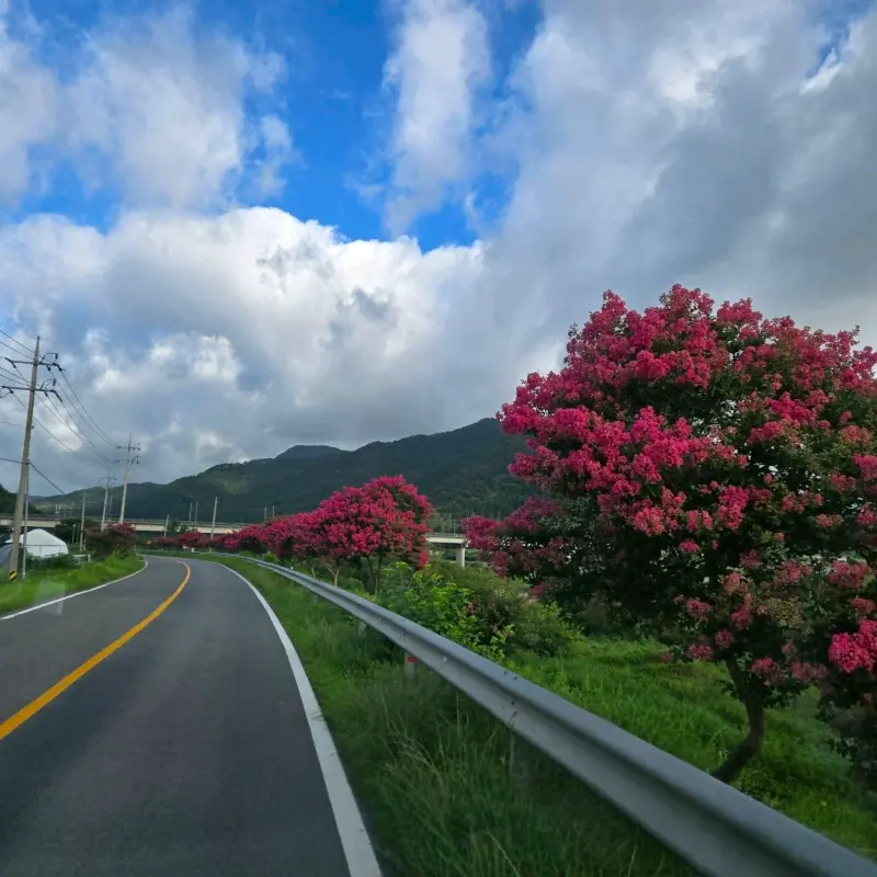 섬진강변을 따라 이어진 아름다운 길