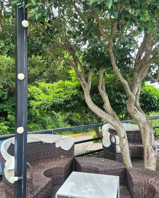 카페 외부 테라스 좌석