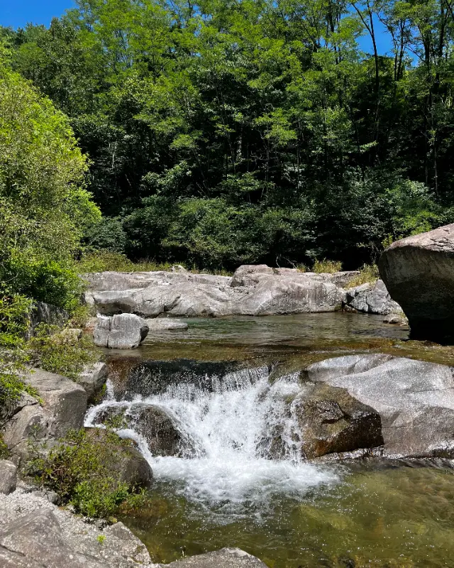 맑고 시원한 계곡 풍경