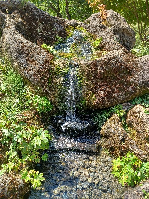 정원의 작은 연못에서 졸졸 흐르는 물소리
