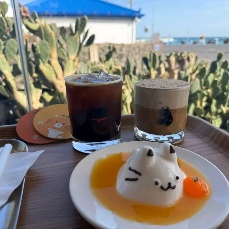 고양이 푸딩과 커피