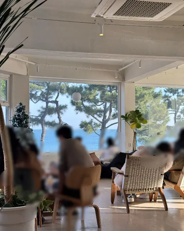 편안한 분위기의 웨이브커피 내부