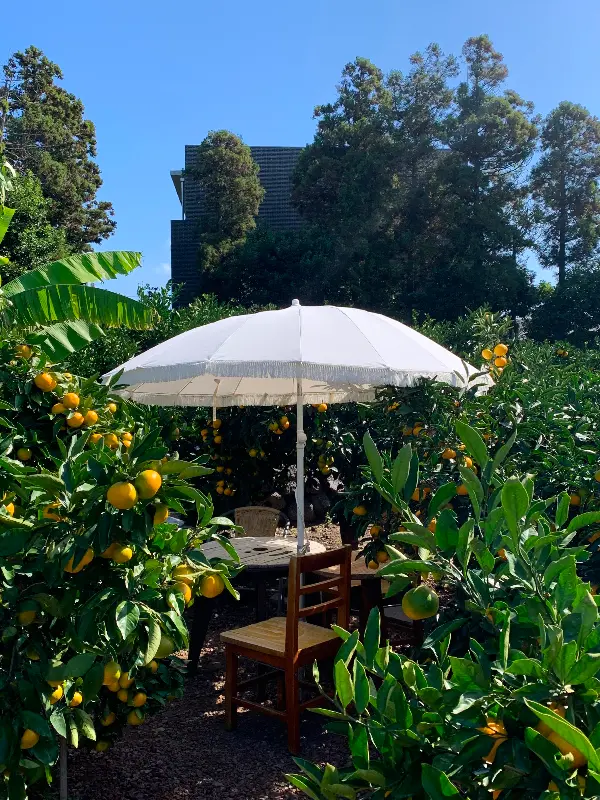 귤꽃다락 야외 좌석