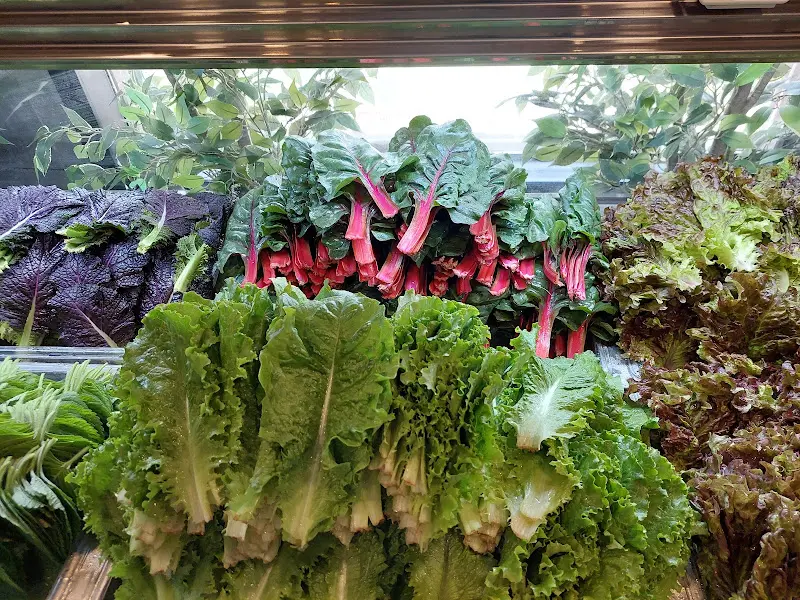 다양한 쌈 채소