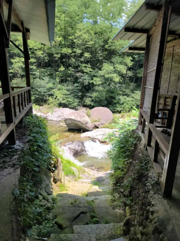 볶음밥이 맛있게 볶아지는 모습