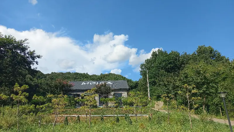 모이라 카페의 전경