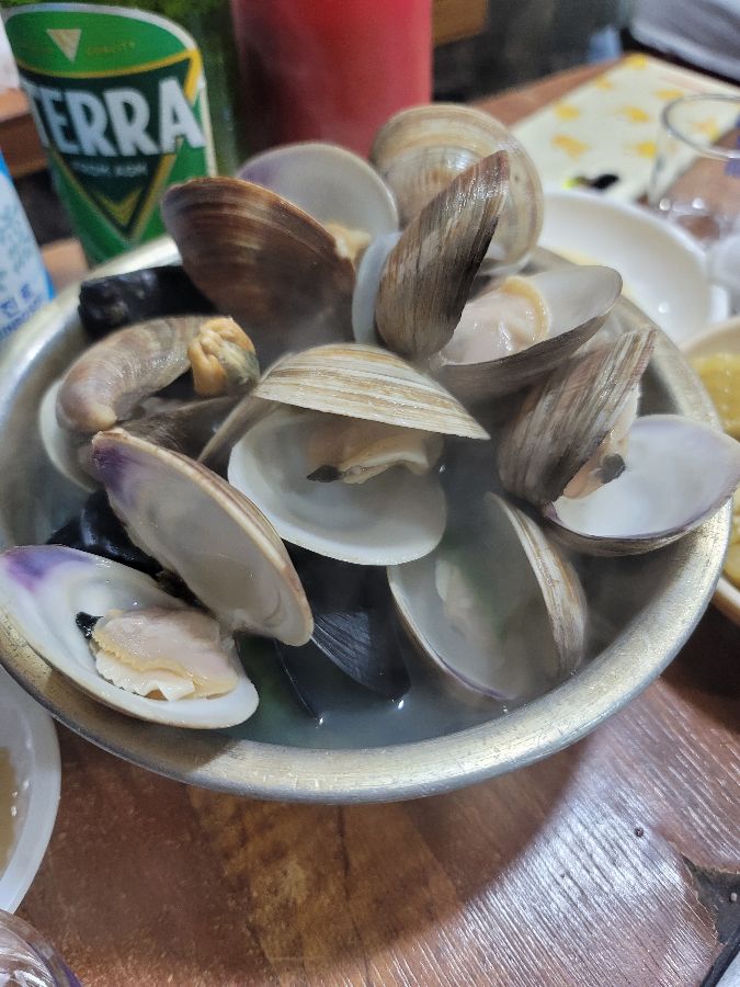 신선한 조개가 가득 담긴 모습