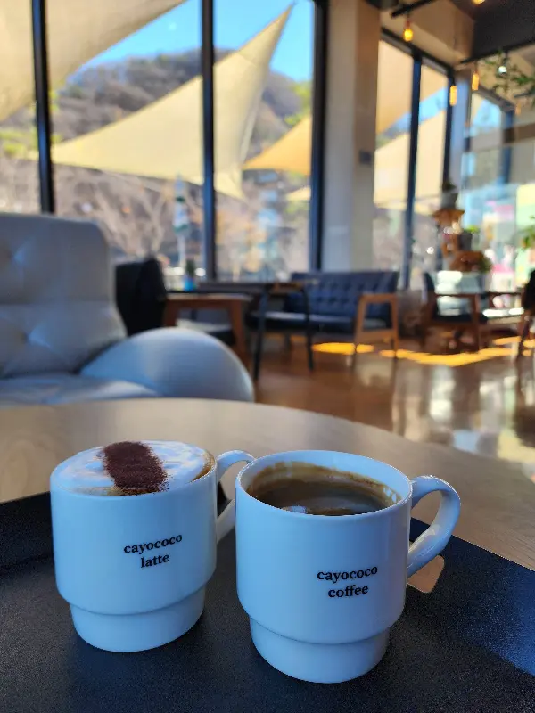 카페에서 보이는 공원 뷰