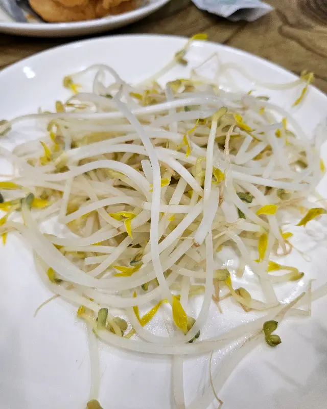 접시에 담긴 숙주의 모습