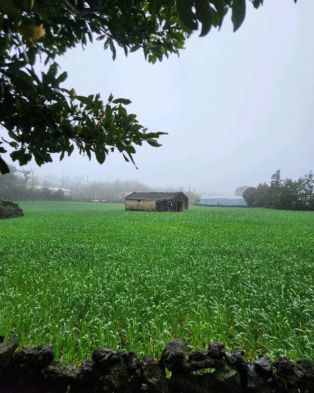 카페에서 바라본 풍경