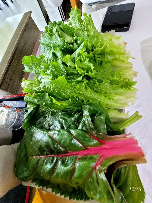 싱싱한 쌈 채소