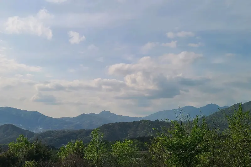 휴게소에서 바라본 풍경