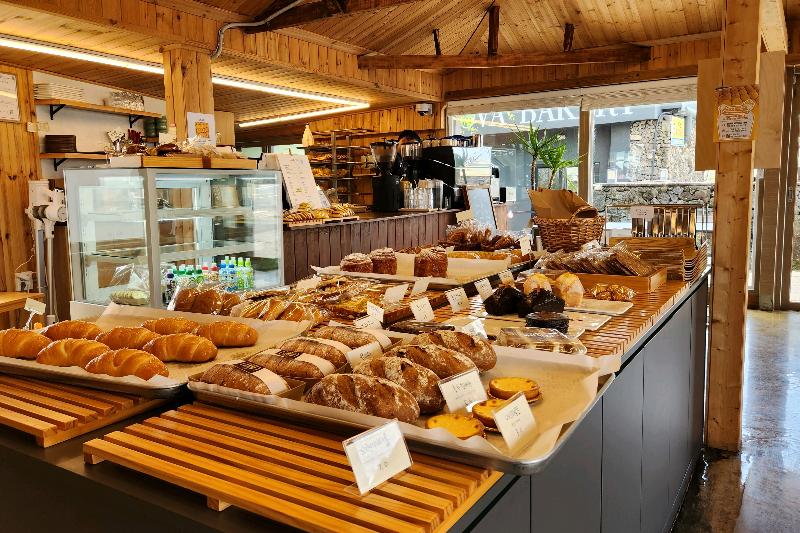 다양한 빵 종류