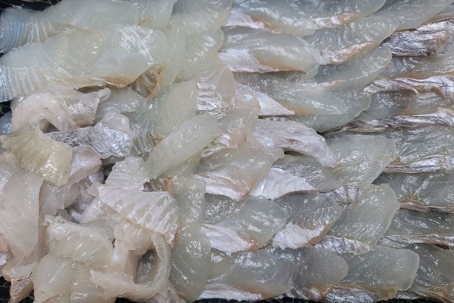 싱싱한 참가자미회