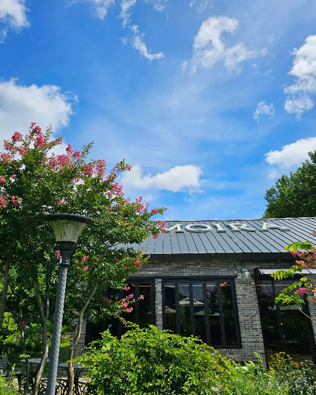 카페 건물과 푸른 하늘, 그리고 붉은 꽃이 어우러진 풍경