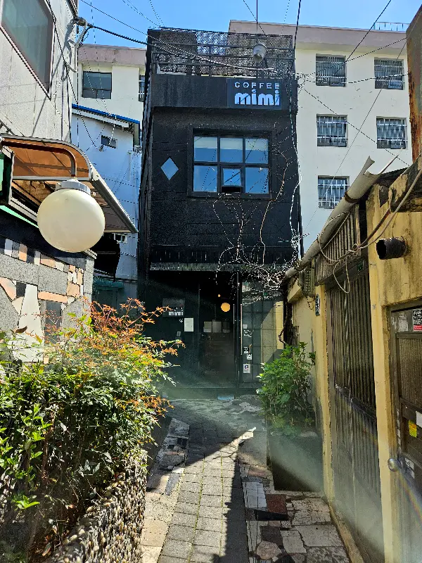 메이플 시럽이 뿌려진 프렌치토스트