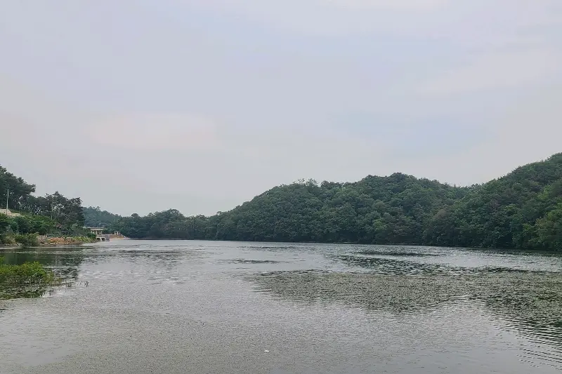 두현저수지 전경