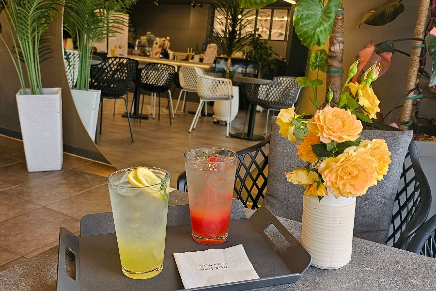 수제 자몽 아이스티와 레몬 아이스티