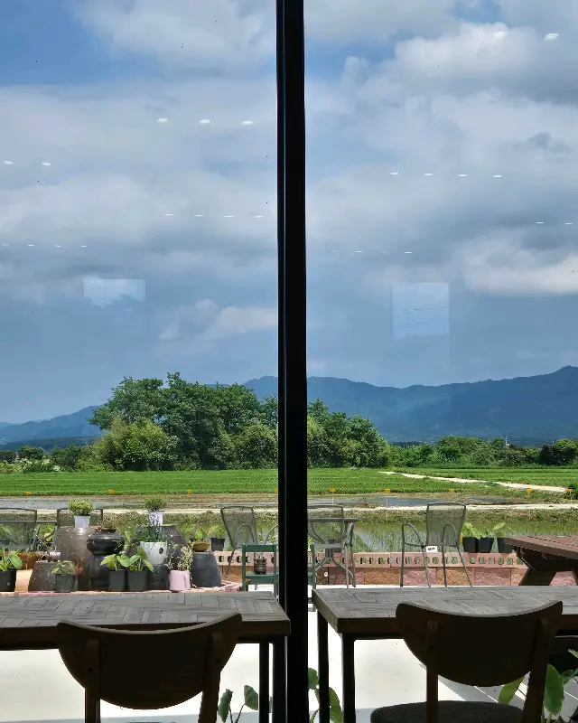 곡물라떼와 새싹밀라떼