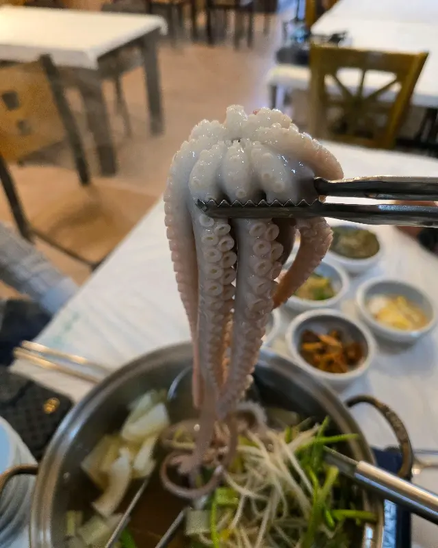 싱싱한 낙지의 모습