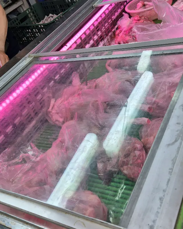 신선한 닭 진열