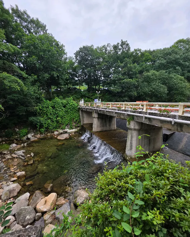 카페 옆 계곡 풍경