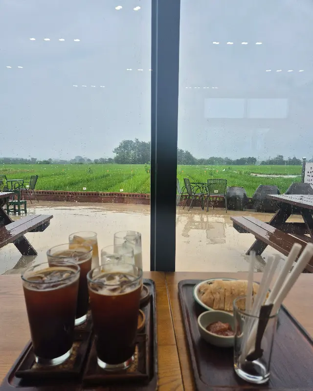 미실란 창밖 풍경