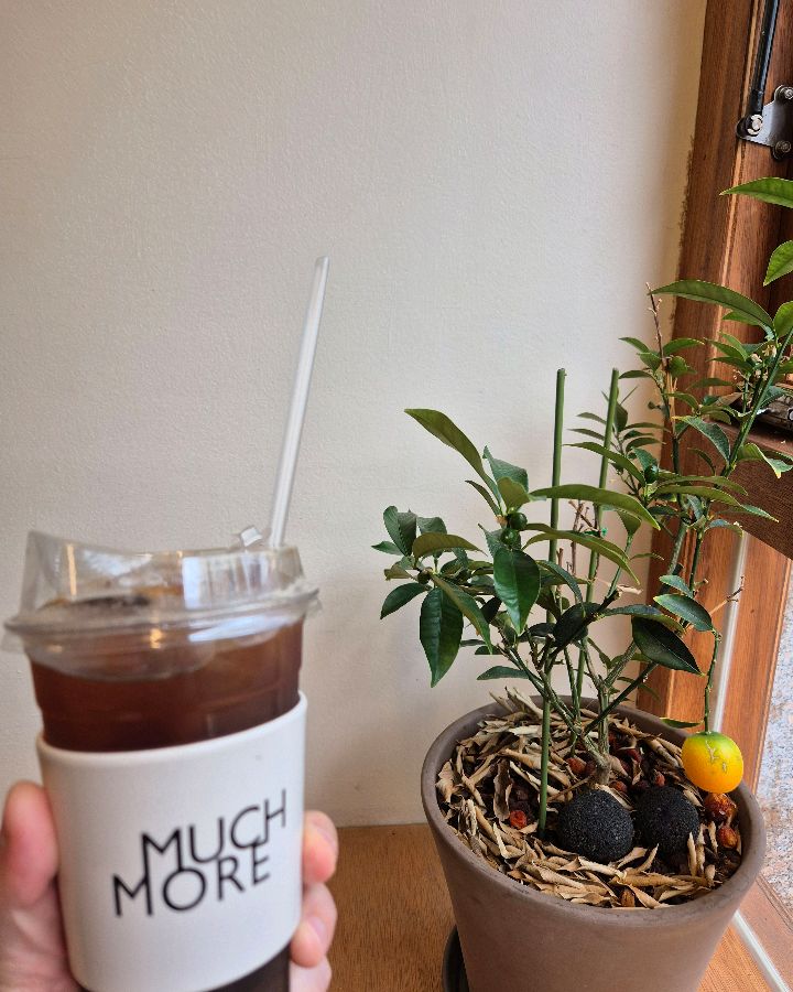 MUCH MORE 아이스 아메리카노