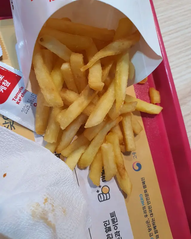 갓 튀겨져 나온 따끈한 감자튀김